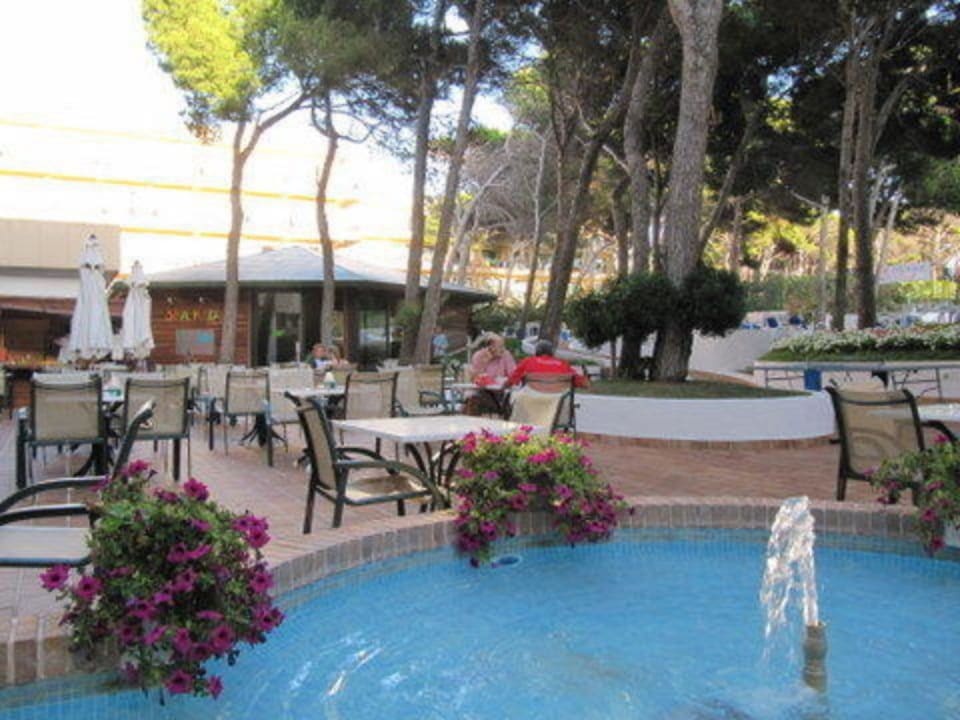 Gartenanlage Hotel & Spa S'Entrador Playa