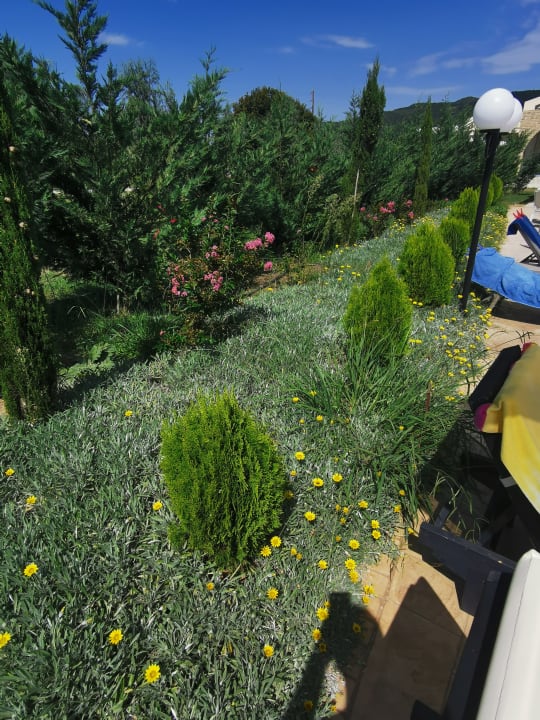 Gartenanlage Sandy Villas Resort