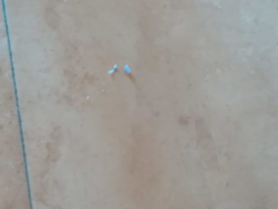 Zimmer Elba Carlota Beach & Golf Resort