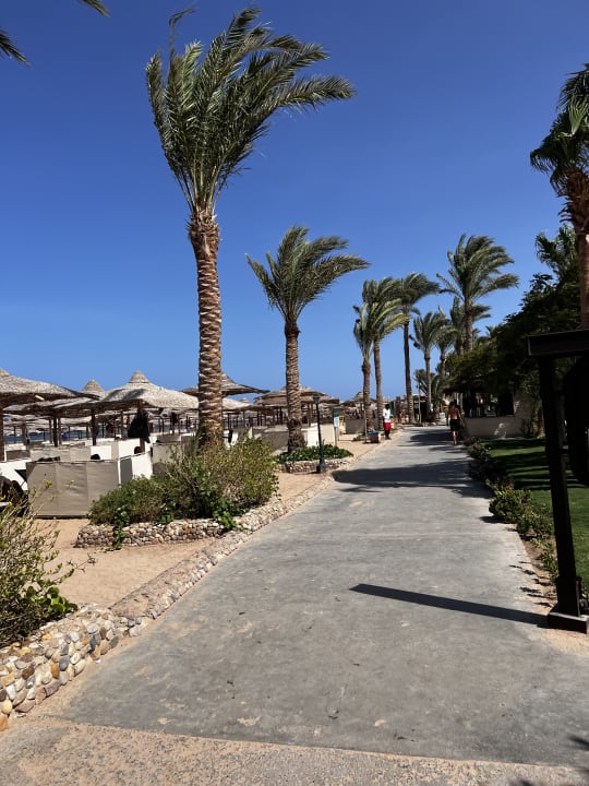 Strand Jaz Makadi Saraya Resort