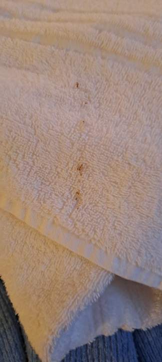 Zimmer Ferien Hotel Ostfriesland