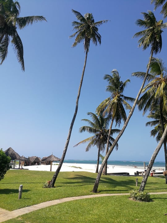 Gartenanlage Neptune Paradise Beach Resort & Spa