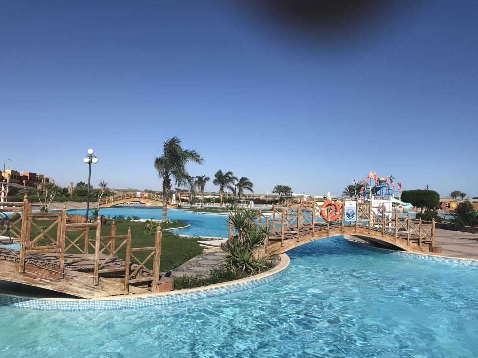 Pool Malikia Resort Abu Dabbab