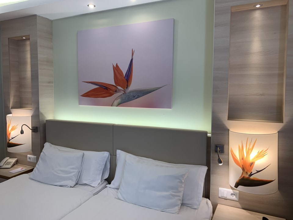 Zimmer Bull Costa Canaria & Spa - Adults only