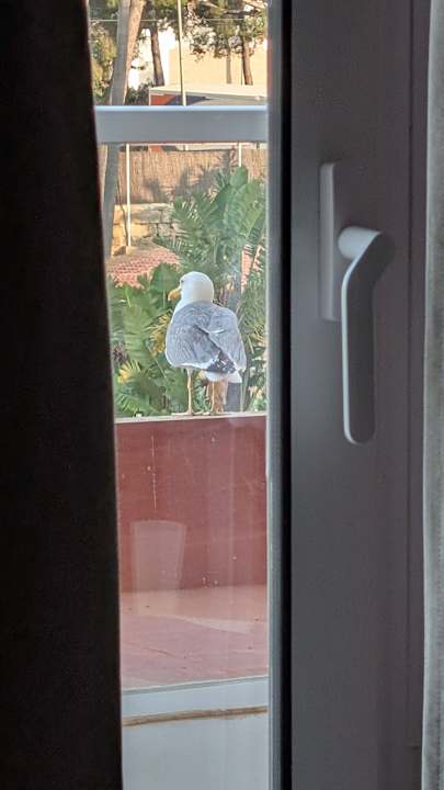 Zimmer BQ Belvedere Hotel