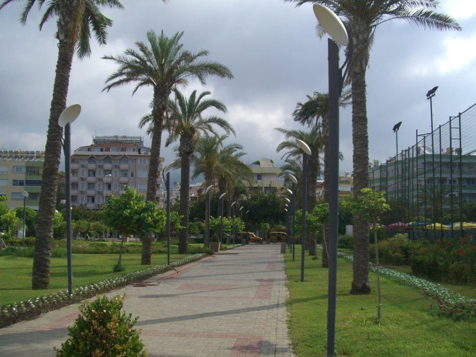 Promenade Hotel Kleopatra Bebek