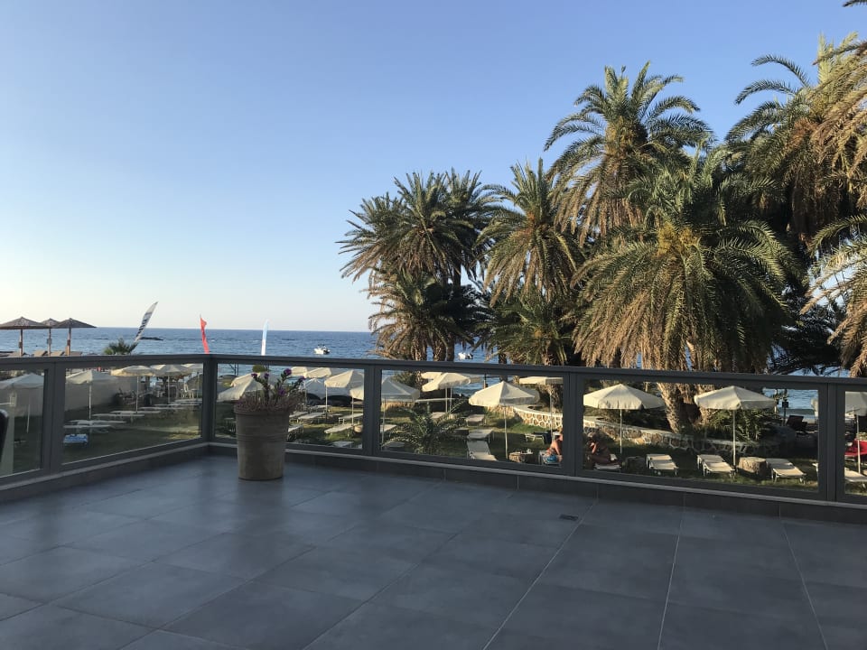 Ausblick Zeus Hotels Palm Beach