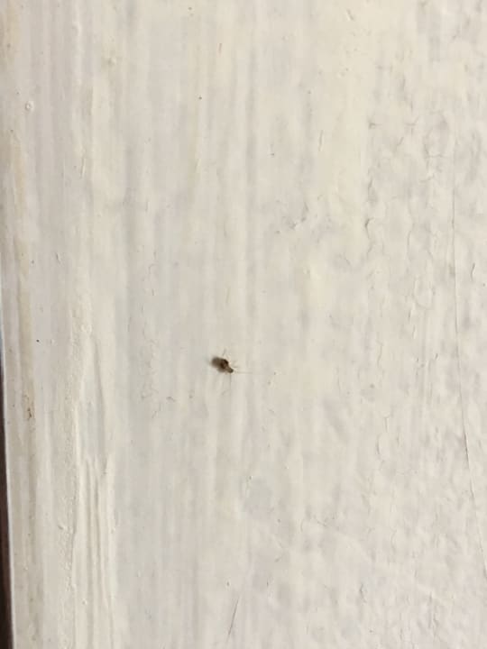 Zimmer Hotel Anandha Inn Pondicherry