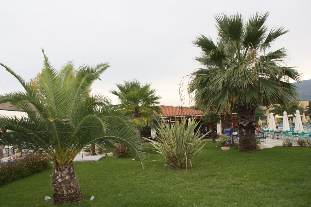 Hotelanlage alltoura Club Hotel Poseidon Palace