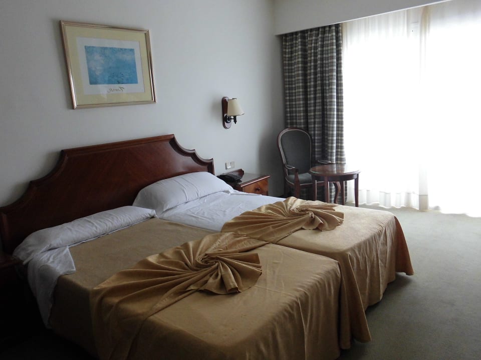 Camera basic Relaxia Olivina