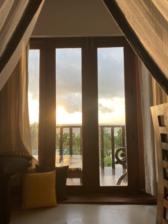 Zimmer Cinnamon Sea Health Care