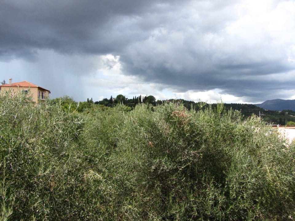 Widok z pokoju  Saint Nicholas Hotel