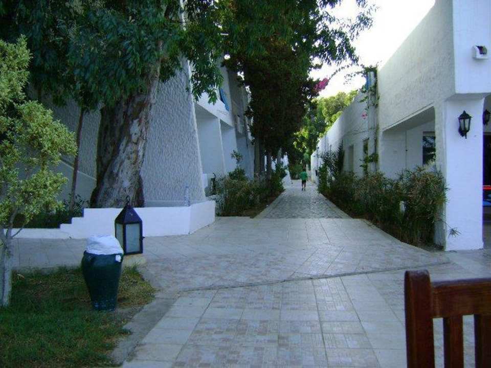 Cesta k recepci The Club Hammamet