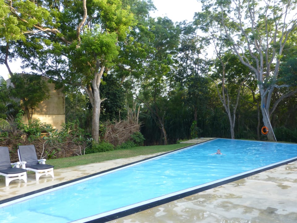 Pool Palm Paradise Cabanas