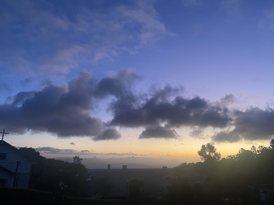 Ausblick O'Reilly's Rainforest Resort