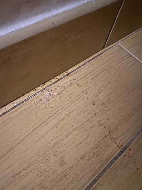 Zimmer Lagas Aegean Village