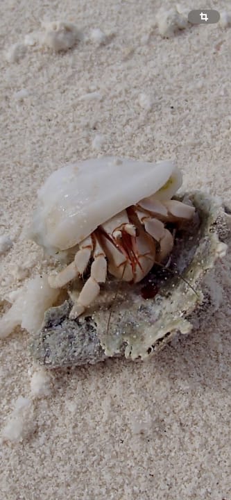 Strand Kuramathi Maldives