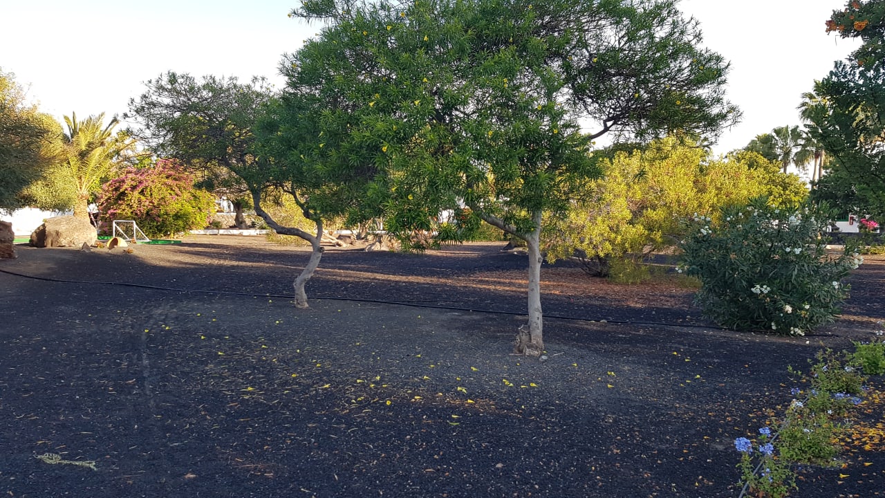 Gartenanlage Hotel Hyde Park Lane