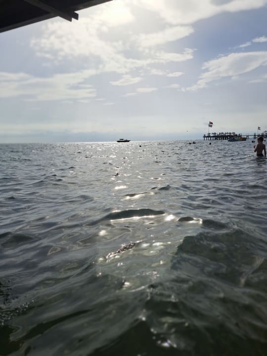 Strand Royal Wings Hotel