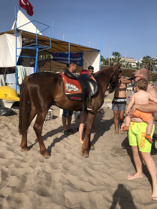 Strand Saphir Resort & Spa