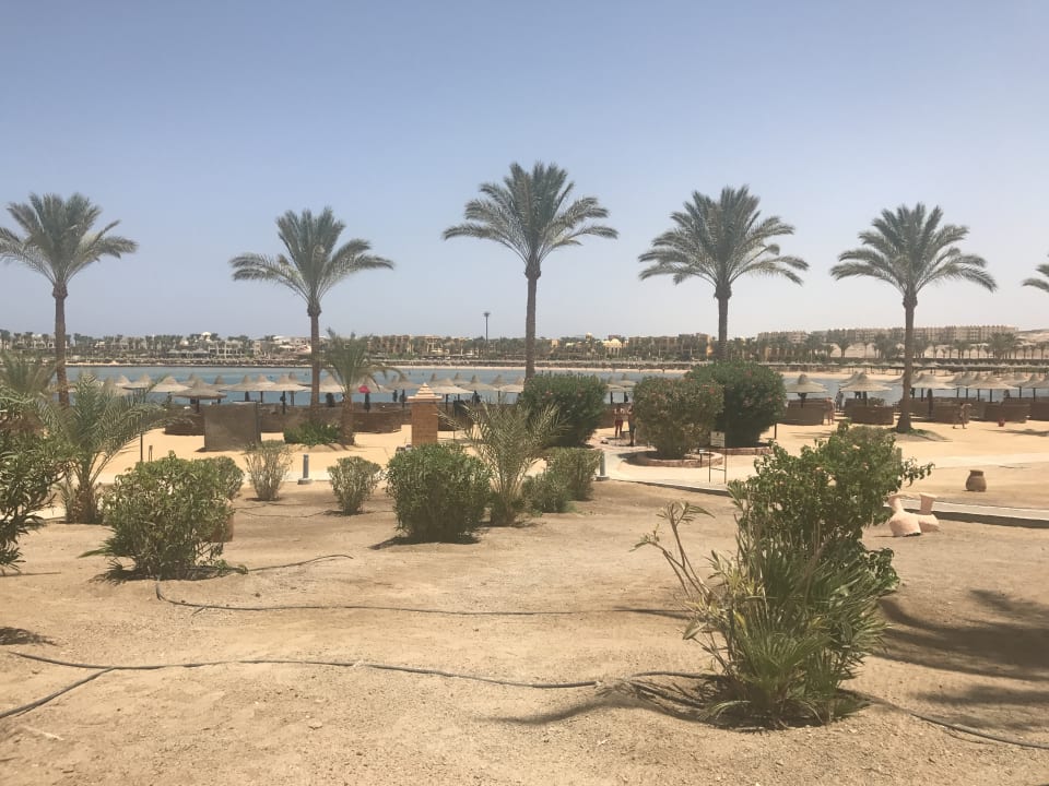 Sonstiges Steigenberger Coraya Beach - Adults only