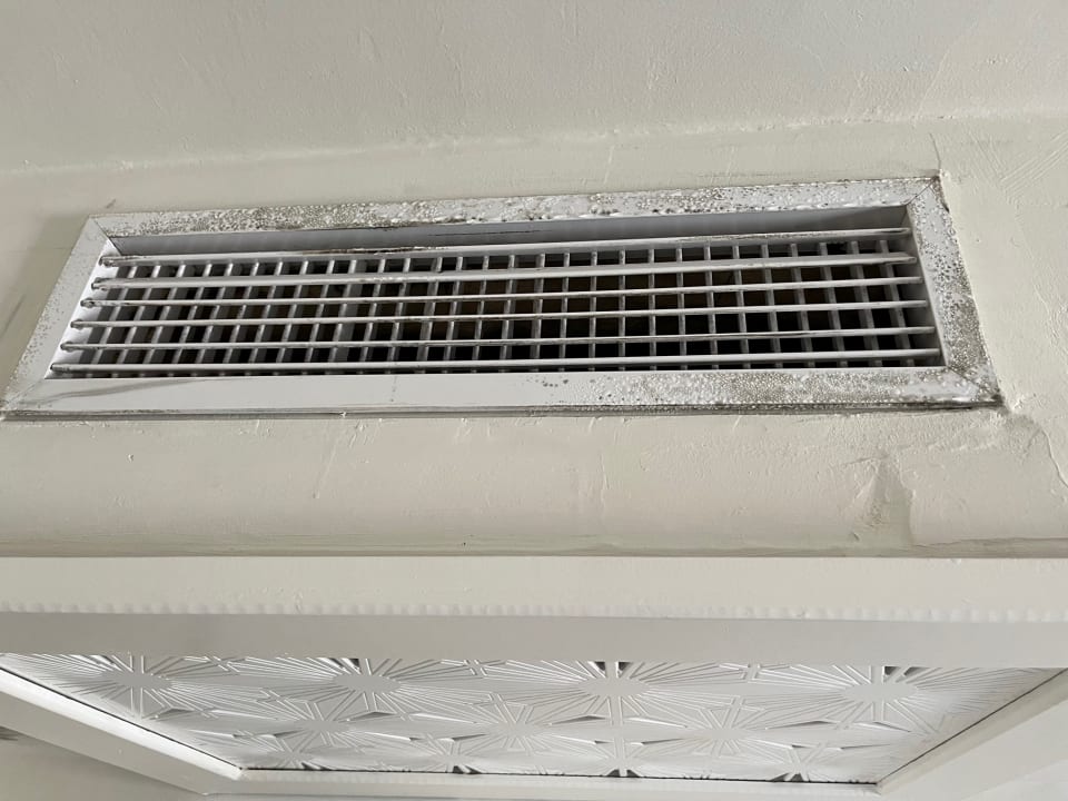 Zimmer TUI MAGIC LIFE Penelope Beach