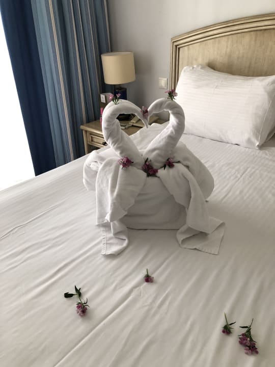 Zimmer IC Hotels Green Palace