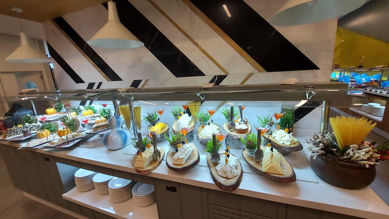 Gastro Maxeria Blue Didyma