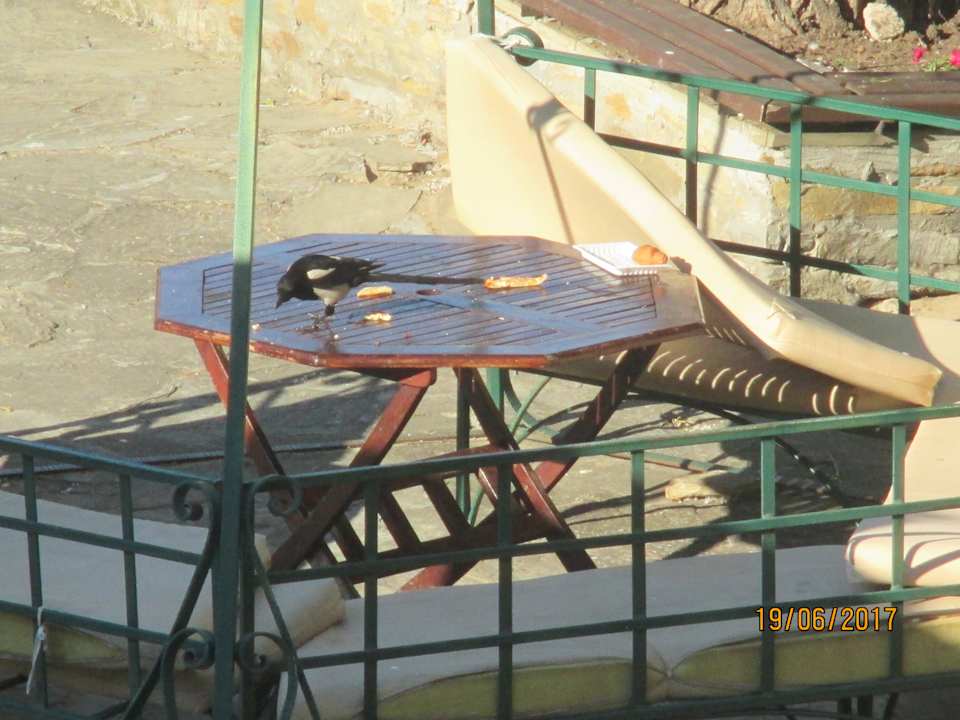 Restaurant HI Hotels Imperial Resort