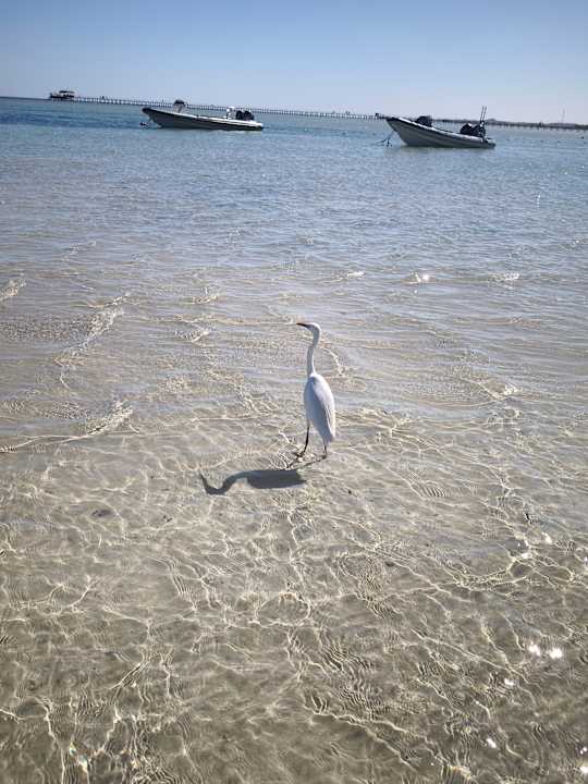 Strand Pickalbatros Villaggio Resort - Portofino