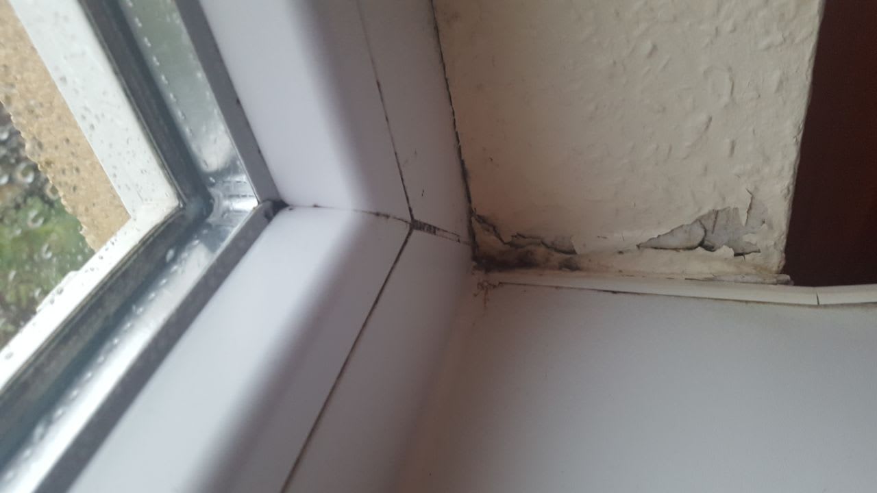 Zimmer Center Parcs Park Bostalsee