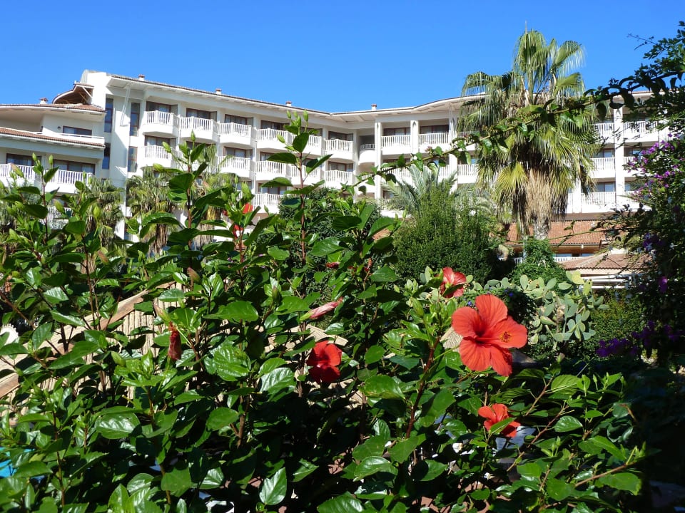 Garten und Hotel Hotel Defne Garden