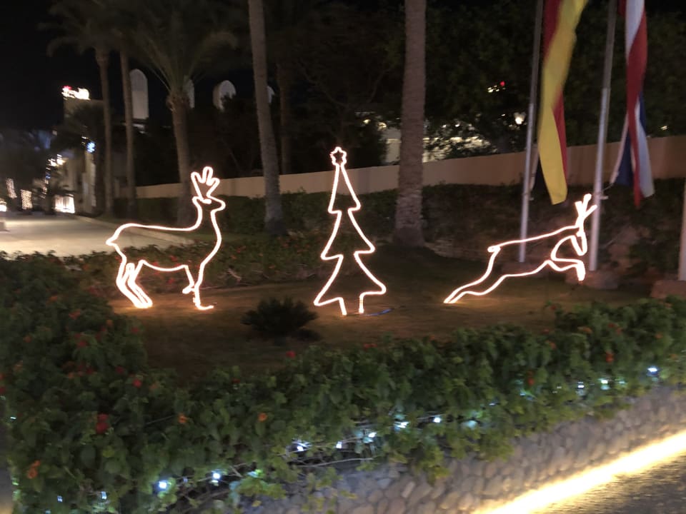 Gartenanlage Continental Hotel Hurghada