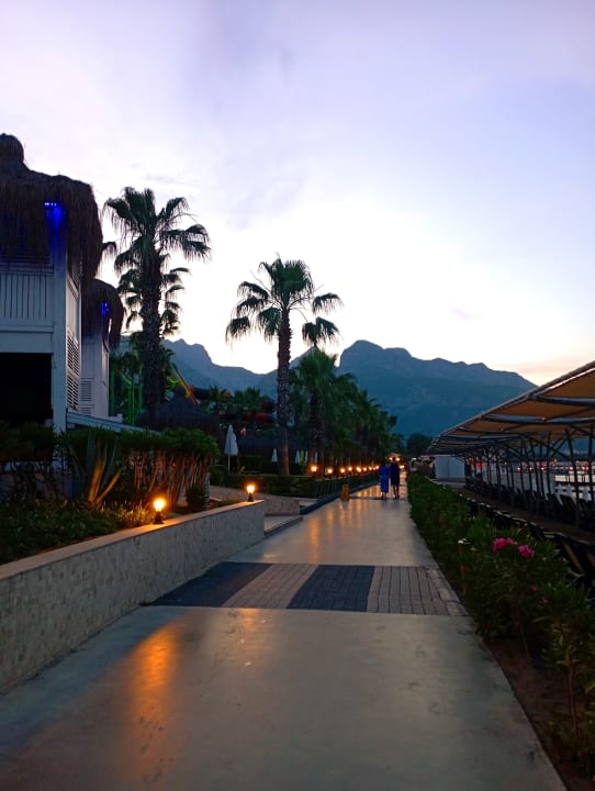 Strand Crystal Flora Beach Resort