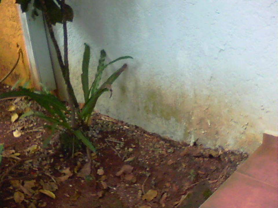 Bungalow Wyndham Alltra Samana