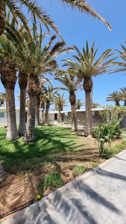 Gartenanlage Civitel Creta Beach
