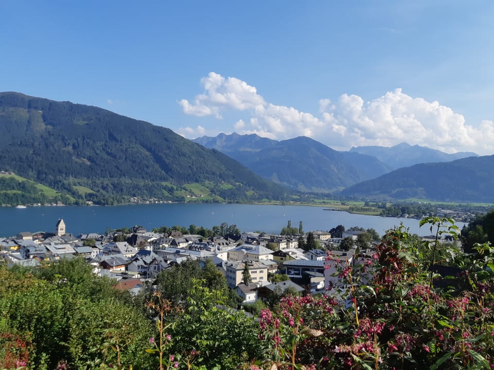 Ausblick Hotel Stadt Wien