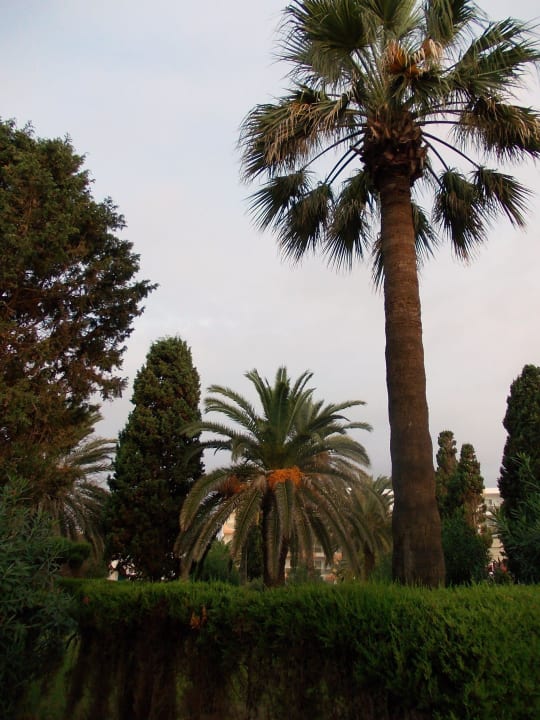 Anlage Royal Lido Resort & Spa