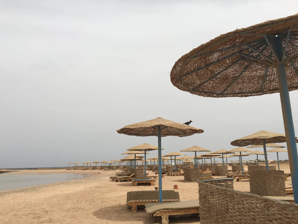 Gut Hurghada Long Beach Resort