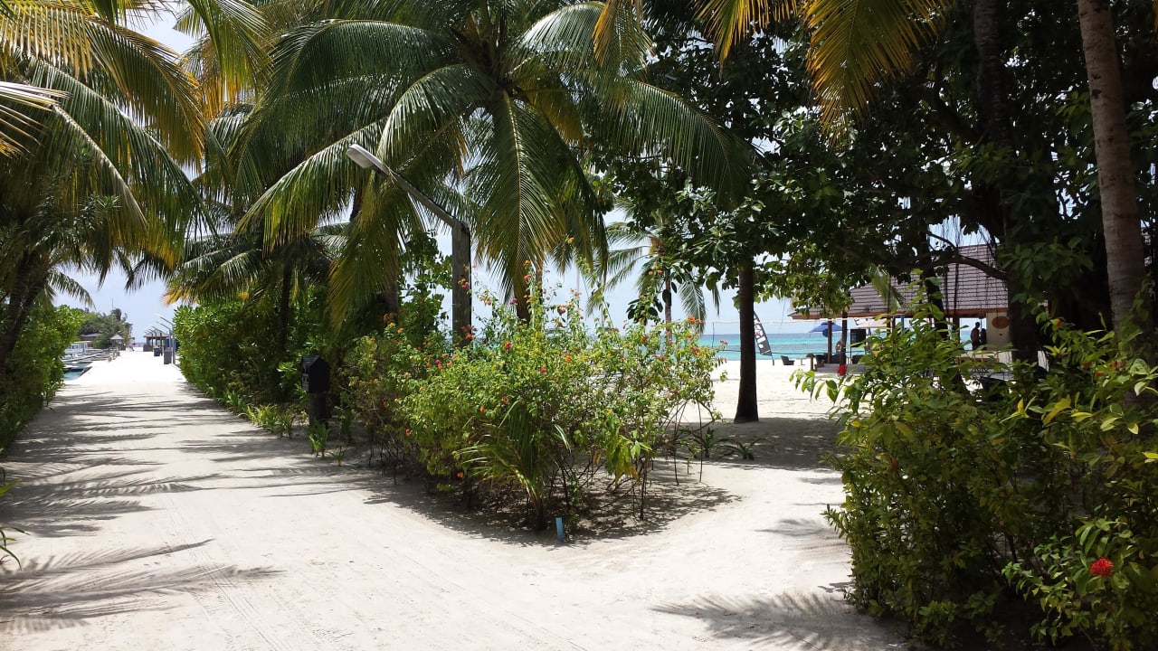 Schattige Wege zum Spazieren  Kuredu Island Resort & Spa