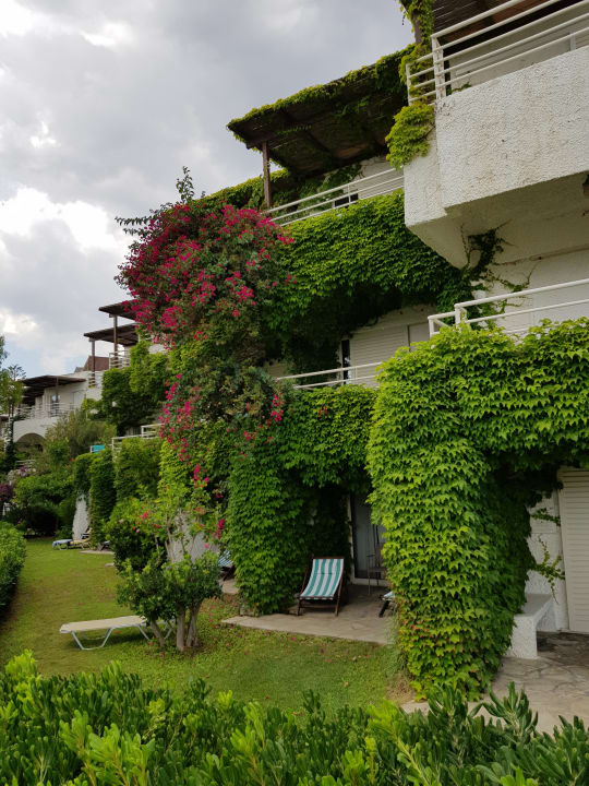 Gartenanlage Apollonia Beach Resort & Spa