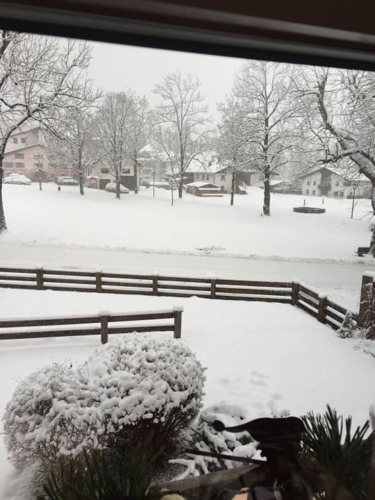 Winterlicher Ausblick aus unserem Appartement  Ferienhaus Das Bucher