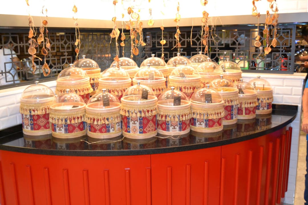 Gastro Seashell Vega