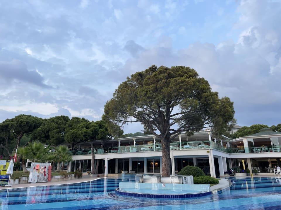 Pool TUI MAGIC LIFE Masmavi