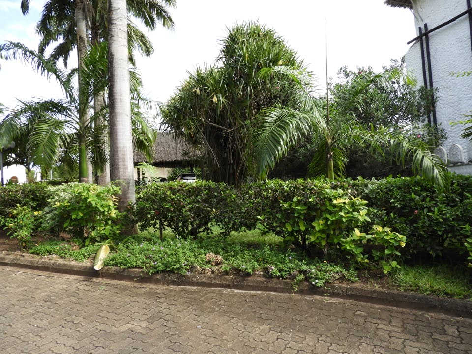 Gartenanlage Hotel Southern Palms Beach Resort