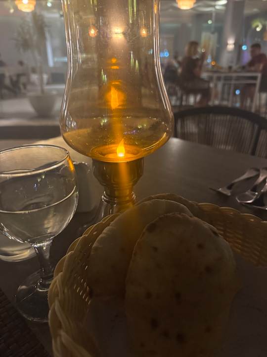 Gastro Pickalbatros Palace Resort