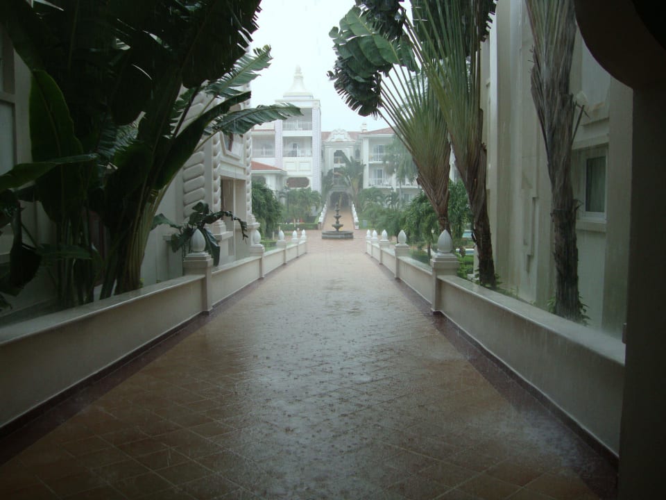 Ein Regentag im Oktober Hotel Riu Palace Riviera Maya