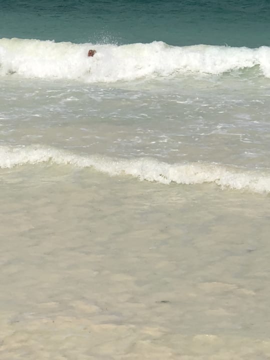 Strand Diani Sea Resort