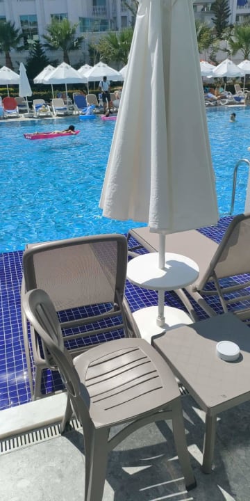 Pool Side Royal Style Hotel