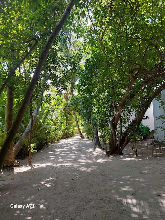 Außenansicht Dreamland The Unique Sea & Lake Resort / Spa